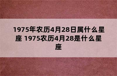 1975年农历4月28日属什么星座 1975农历4月28是什么星座